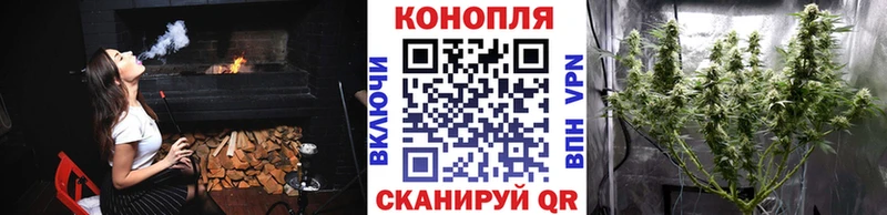 Какие есть наркотики Котлас Бошки Шишки  Cocaine  Альфа ПВП  Меф  ГАШИШ 