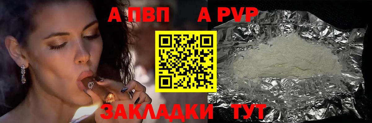 Alfa_PVP СК КРИС Котлас