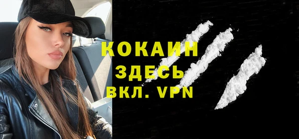 Альфа ПВП Няндома