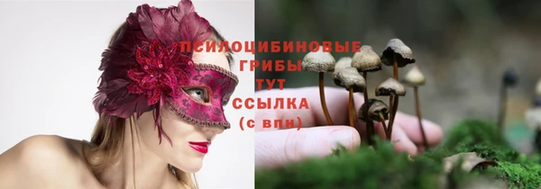 каннабис Осинники