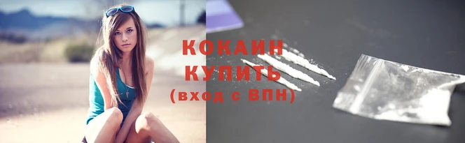 Альфа ПВП Няндома
