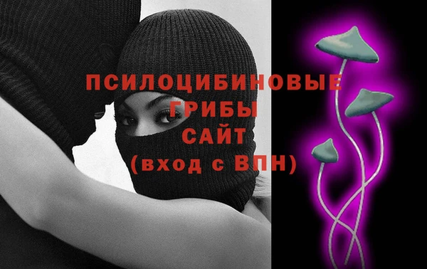 Альфа ПВП Няндома
