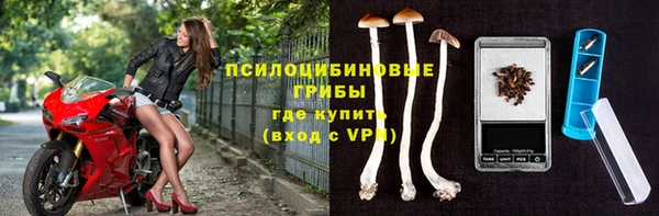 Альфа ПВП Няндома
