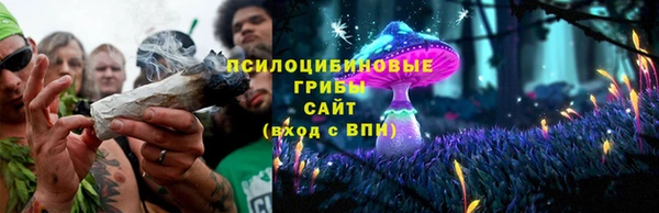 Альфа ПВП Няндома