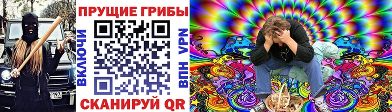 наркота  Котлас  Галлюциногенные грибы ЛСД 